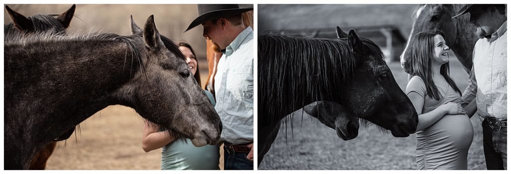 Horses try to seal the photo by getting in front of couple in Montana Maternity Photo